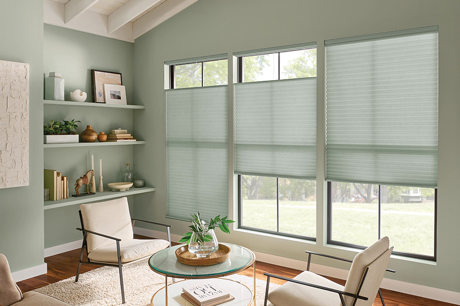 Green cellular shades on windows in a green living room