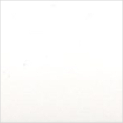 Brightwhite_studio_color